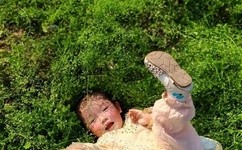 师士传说txt下载